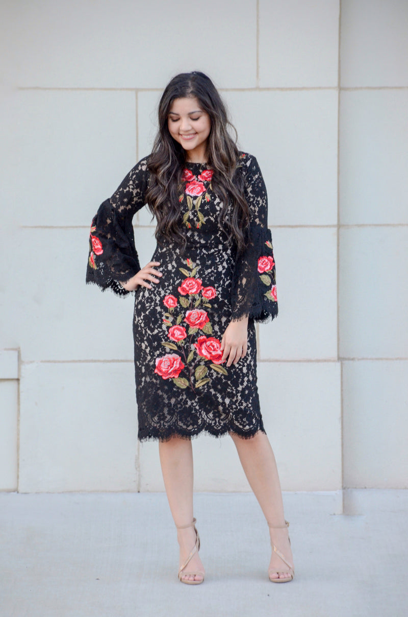 The Olé! Embroidered Dress